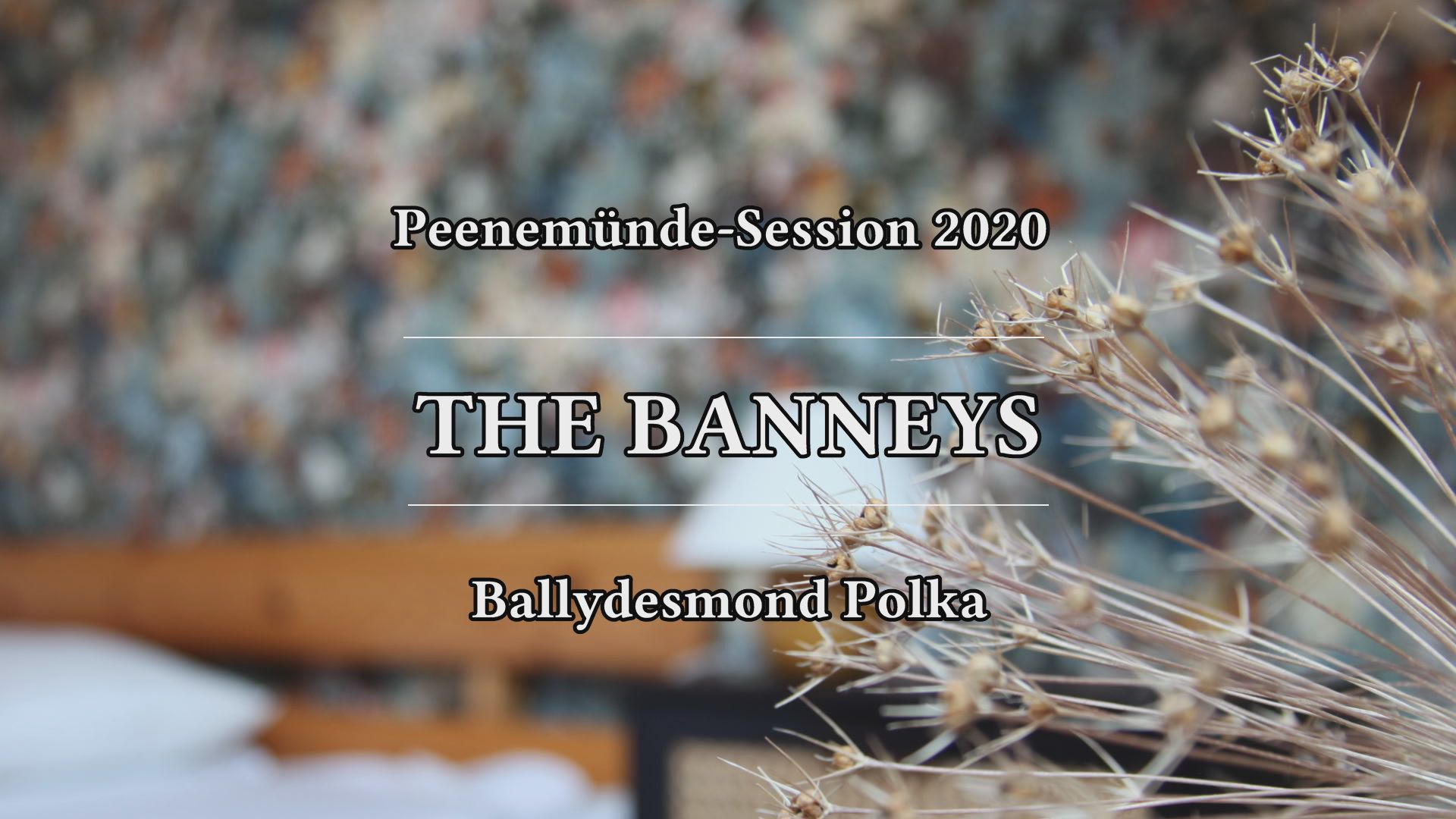 The Banneys - Ballydesmond Polka